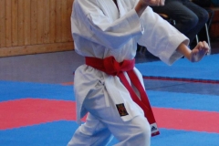 Fotos_(1)